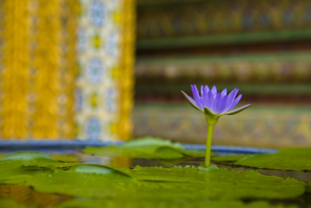 Thailand, Bangkok, The Grand Palace.