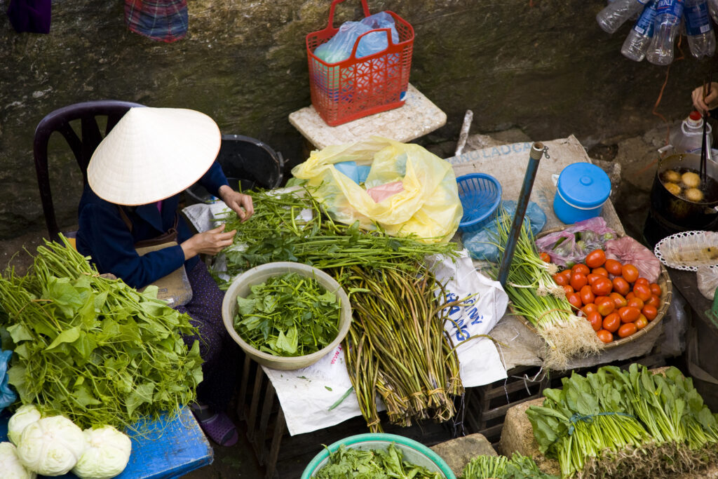 Vietnam, Northern Vietnam, Sapa.