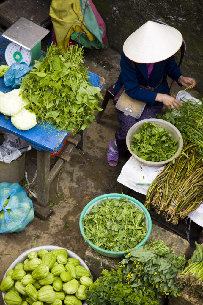 Vietnam, Northern Vietnam, Sapa.