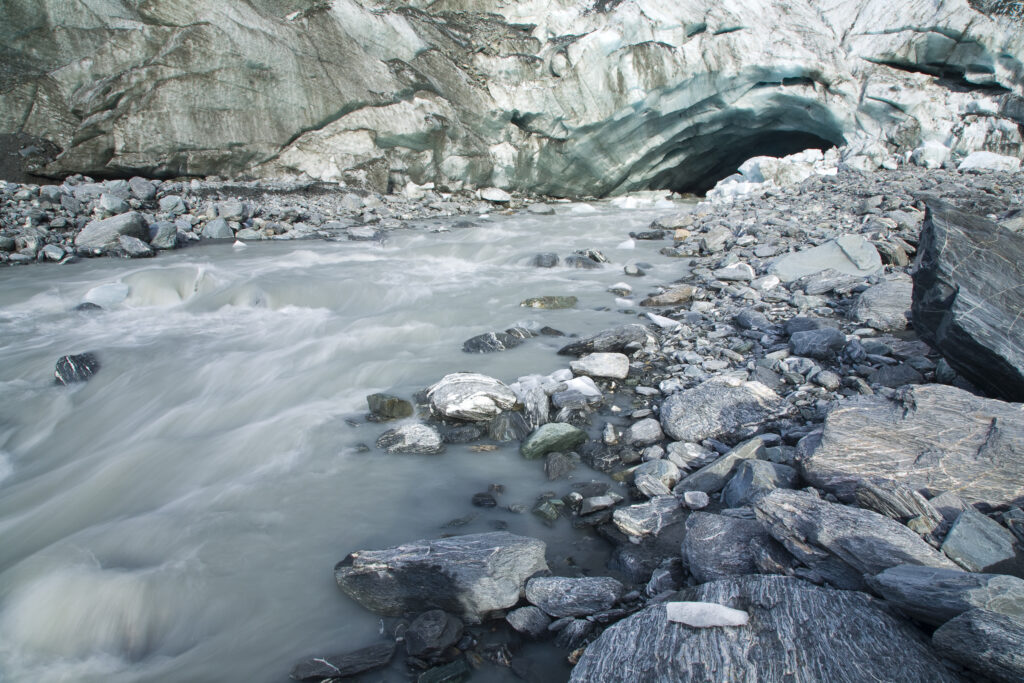 NEW ZEALAND, Westland, Westland National Park.