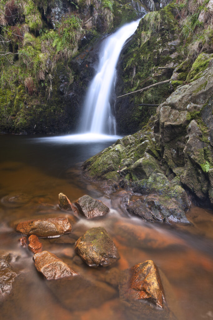 England, Northumberland, Northumberland National Park.