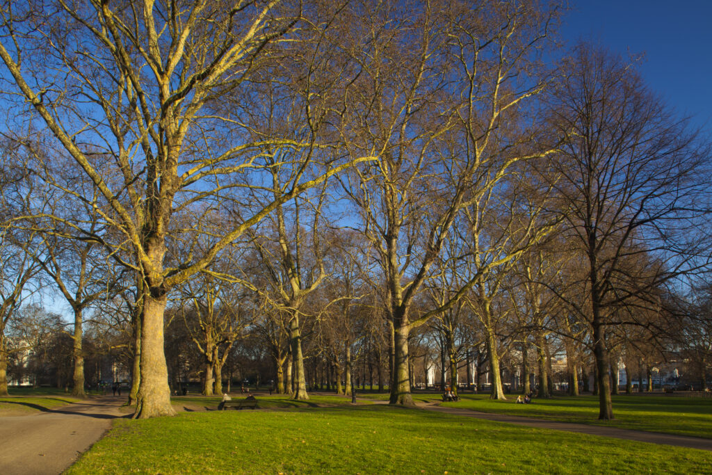 England, London, Green Park.