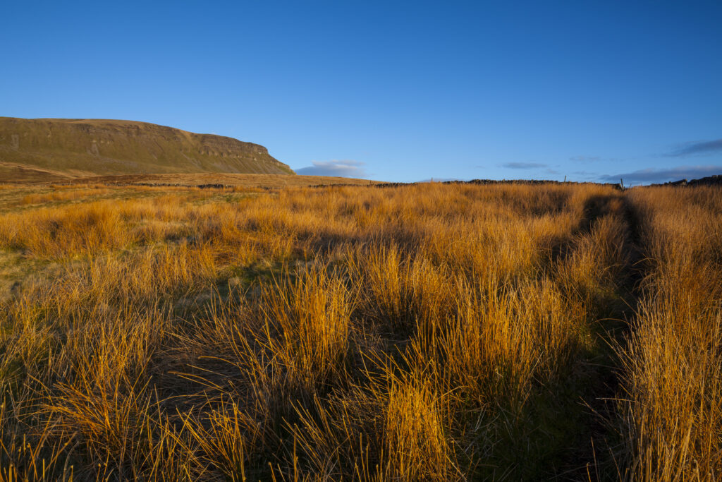 England, North Yorkshire, Yorkshire Dales National Park.