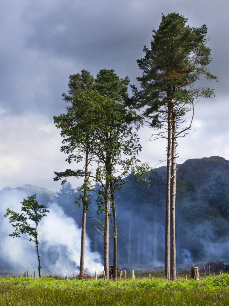 England, Cumbria, Lake District National Park.