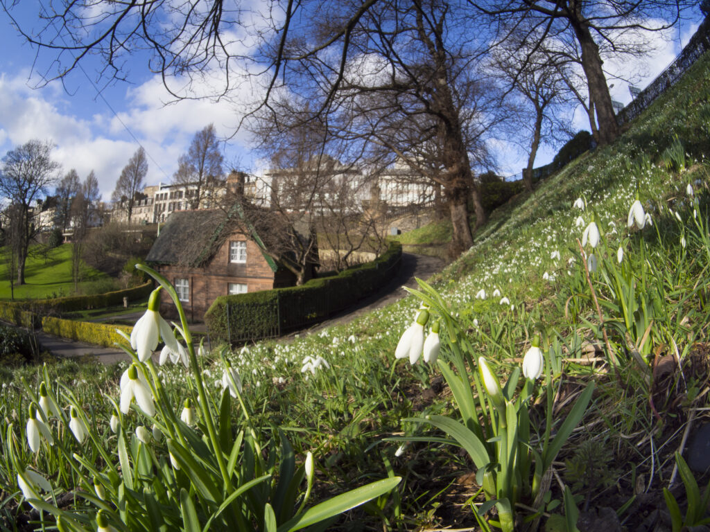 Scotland, Edinburgh, Princes Street Gradens.
