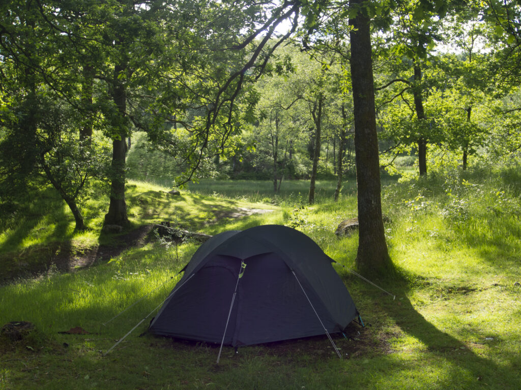 England, Cumbria, Lake District National Park.