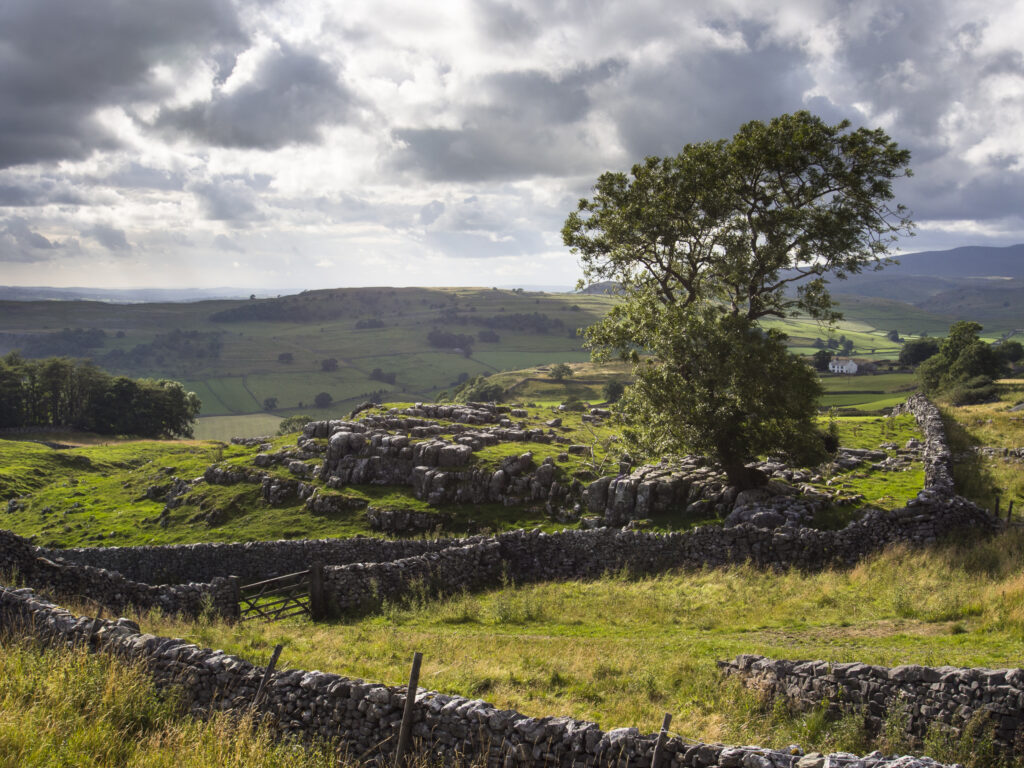 England, Yorkshire, Yorkshire Dales National Park.