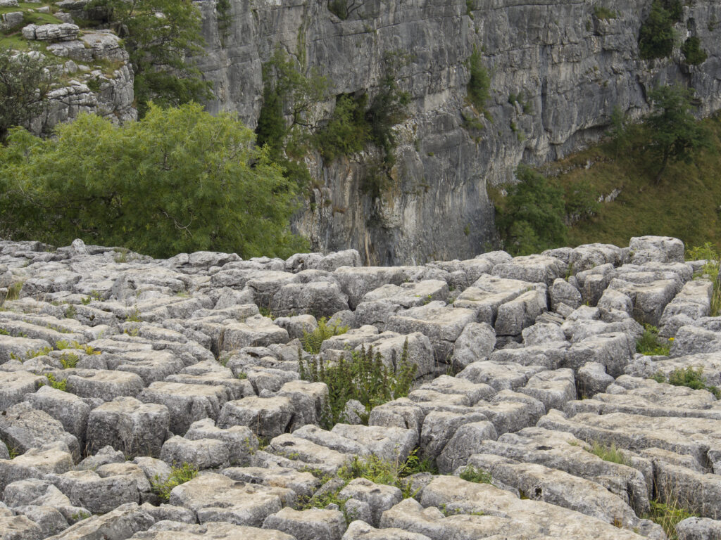 England, Yorkshire, Yorkshire Dales National Park.