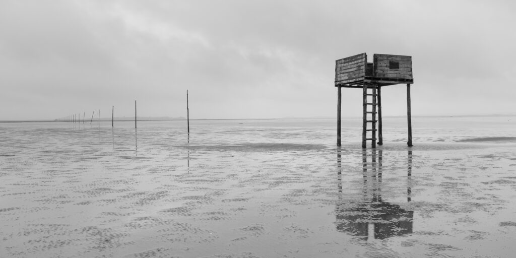 England, Northumberland, Northumberland Heritage Coast.