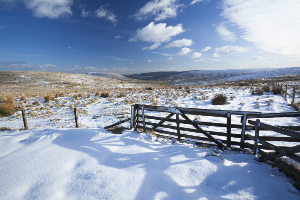 England, Northumberland, Northumberland National Park.