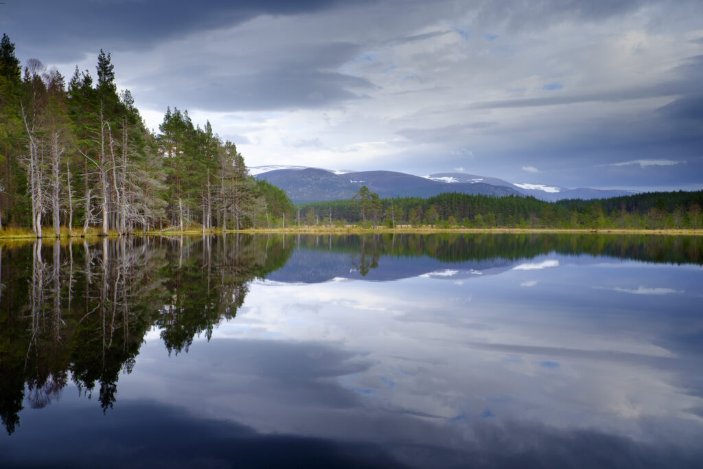 Scotland, Scottish Highlands, Cairngorms National Park.