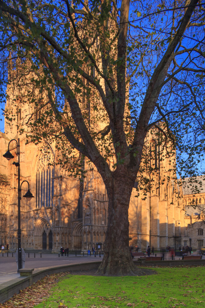 England, North Yorkshire, York City.