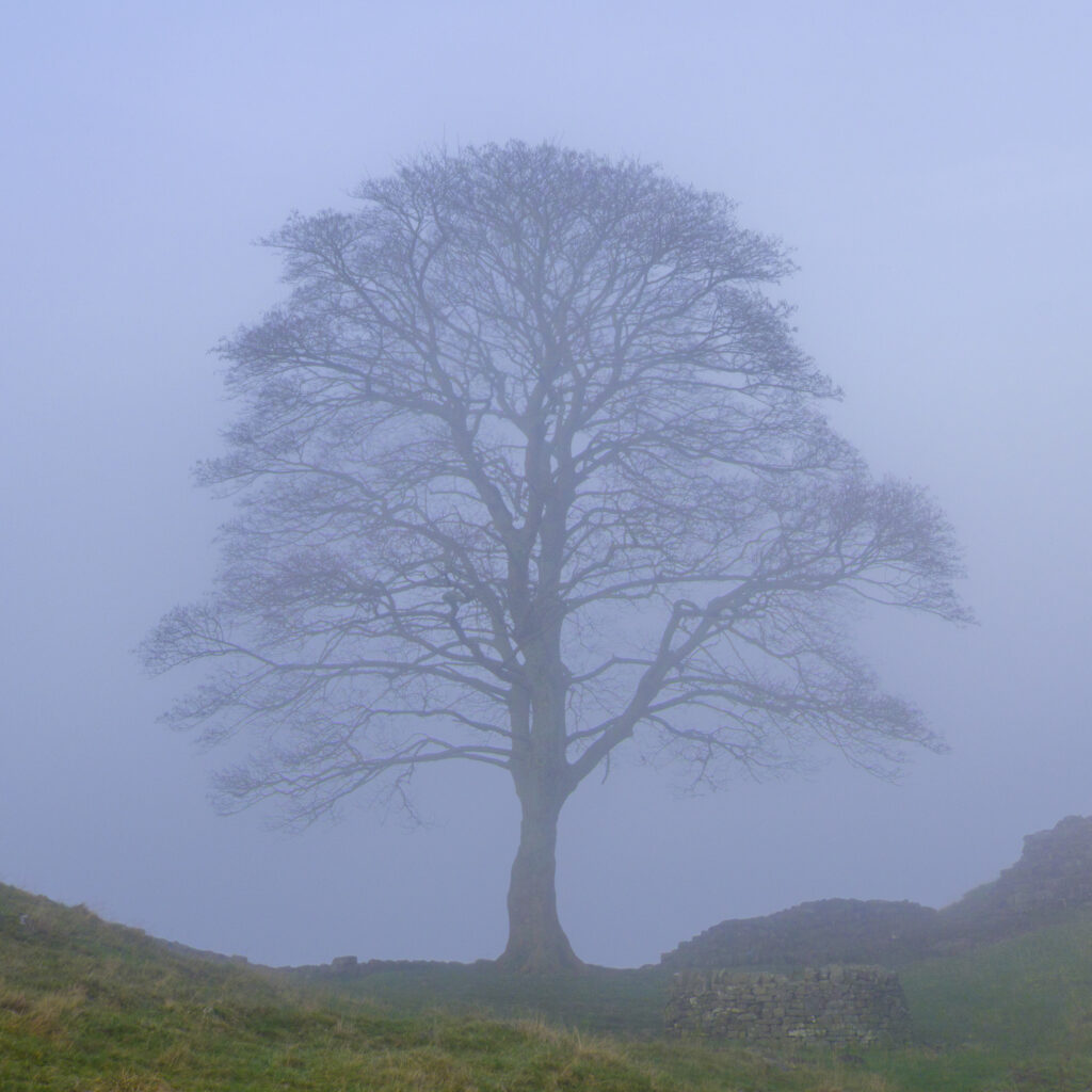 England, Northumberland, Hadrian’s Wall.