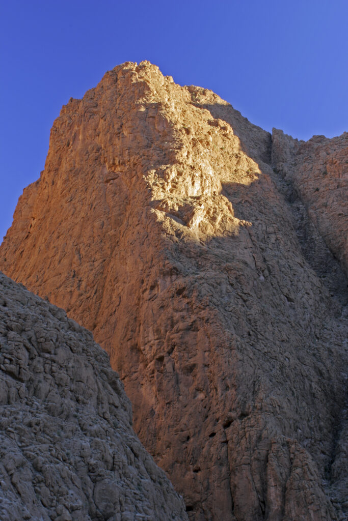 mo503