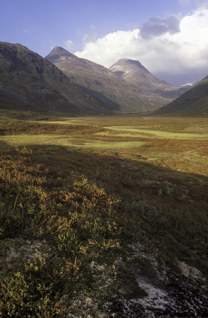 NORWAY, Sogn Og Fjordane, Jotunheimen National Park.