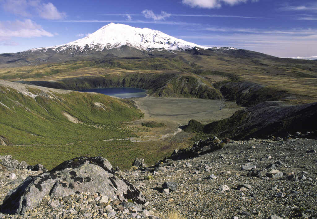 nz1001