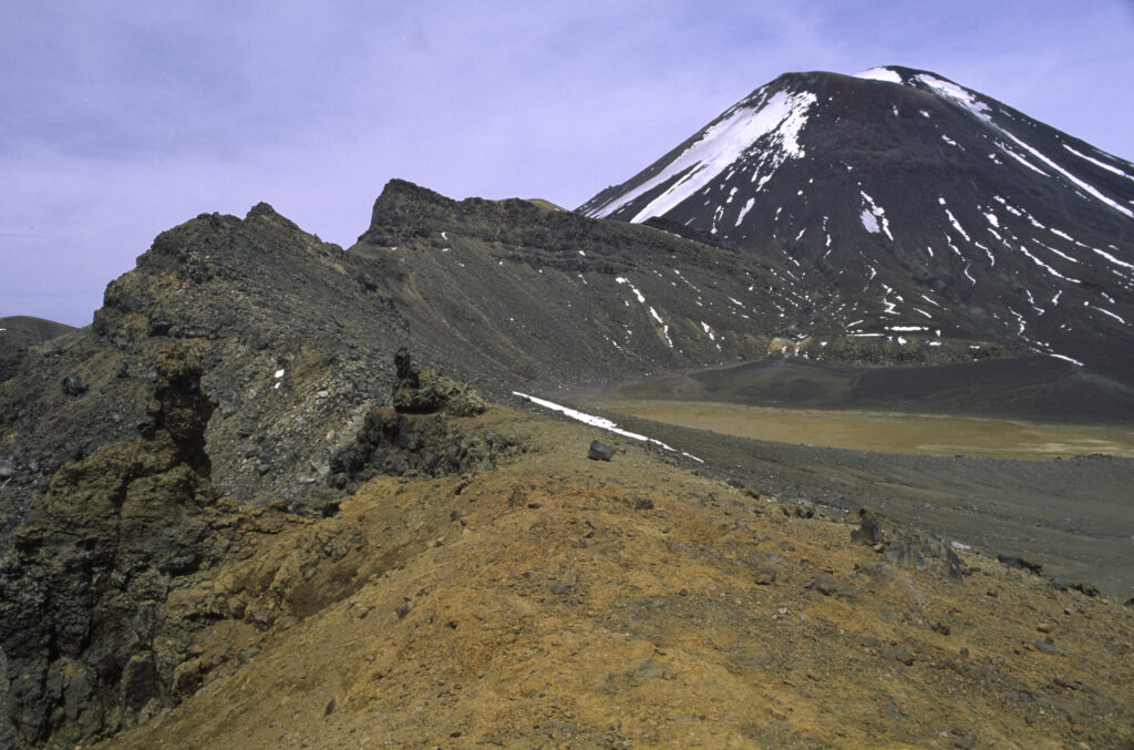 nz1004