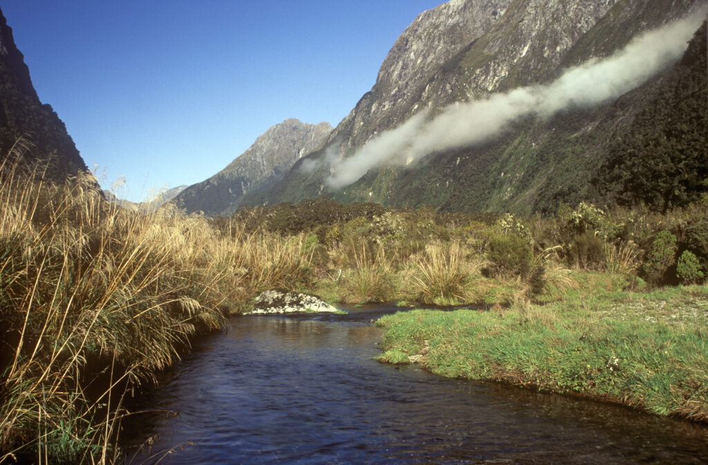 nz108