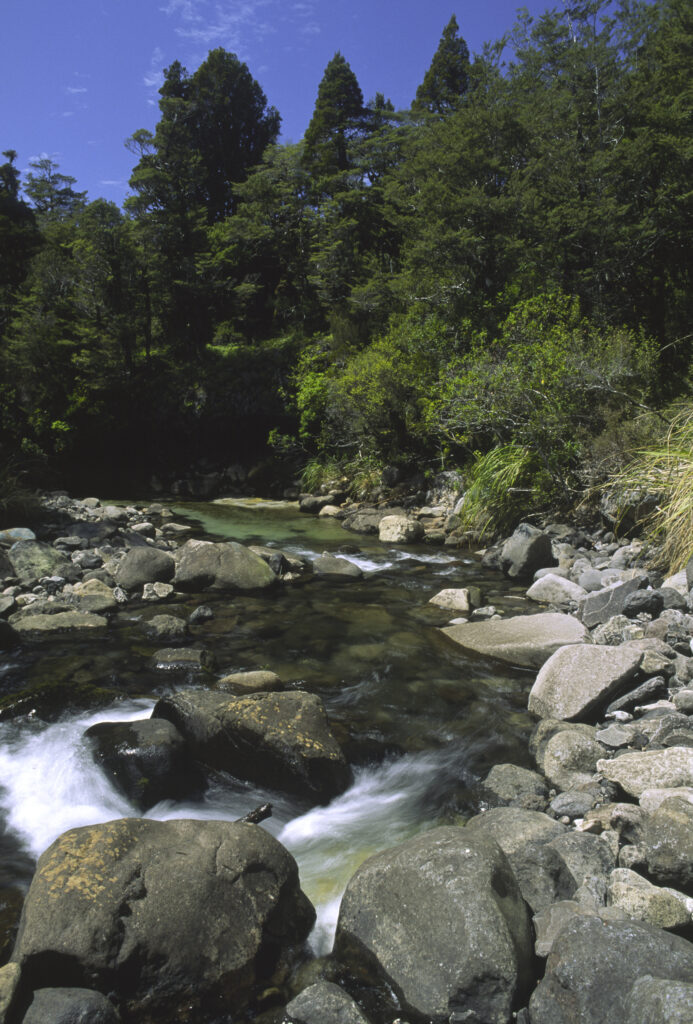 nz1105