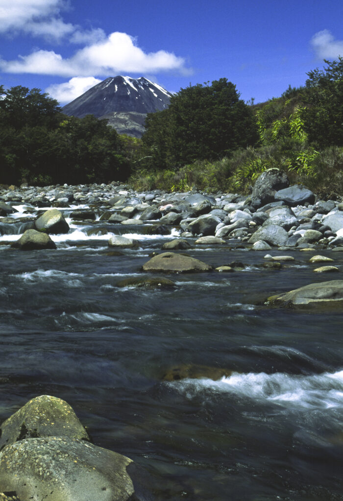 nz1106