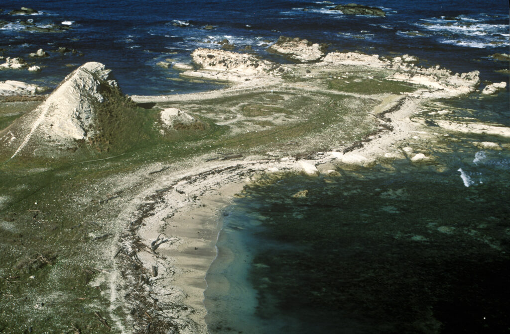 nz210