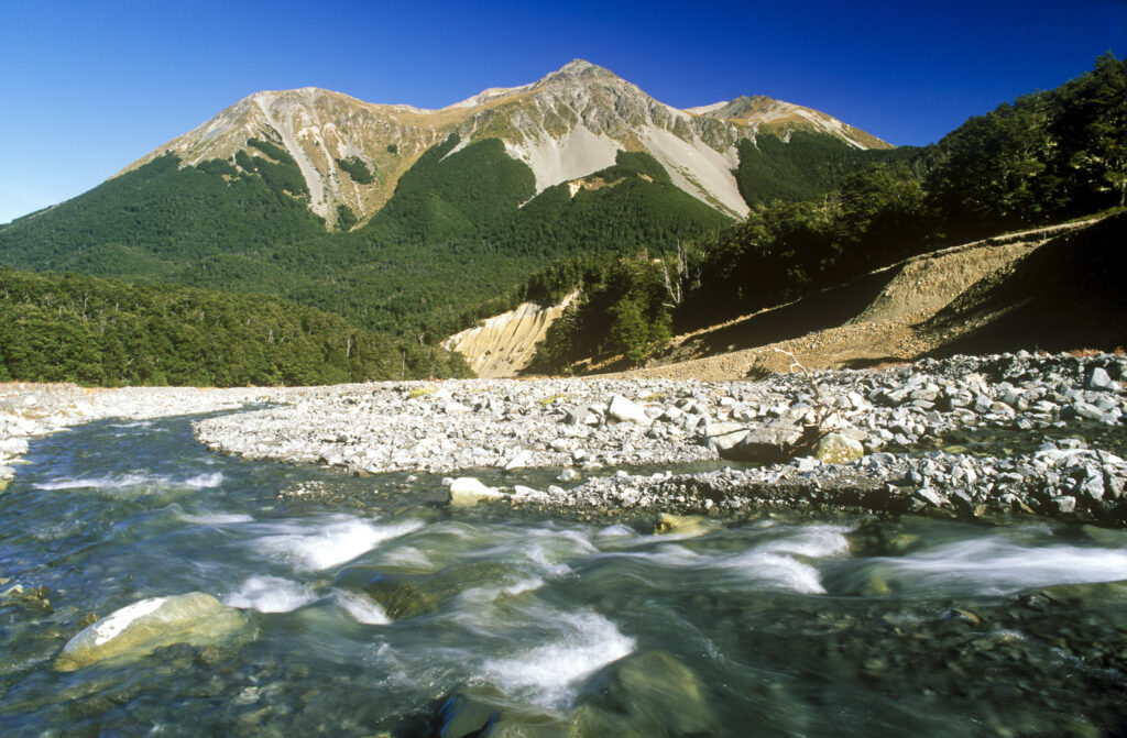 nz309
