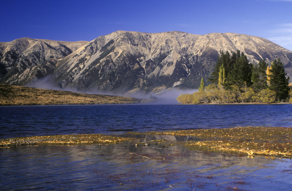 nz402