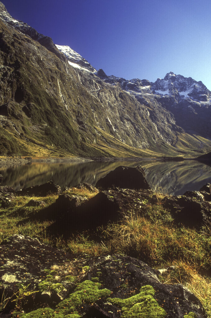 nz604
