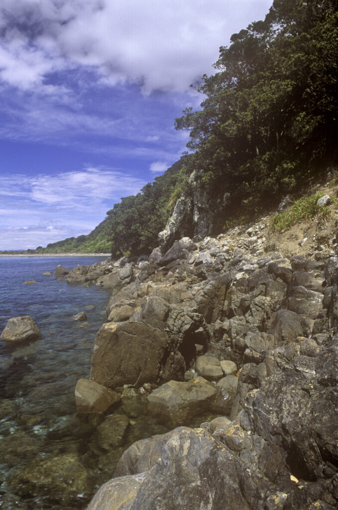 nz605