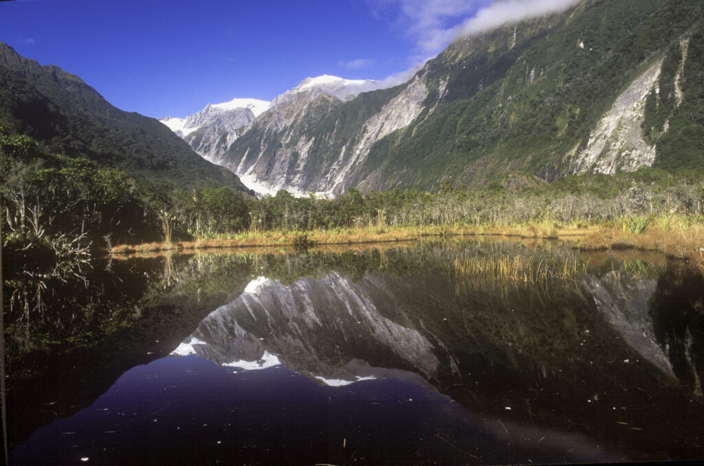 nz610