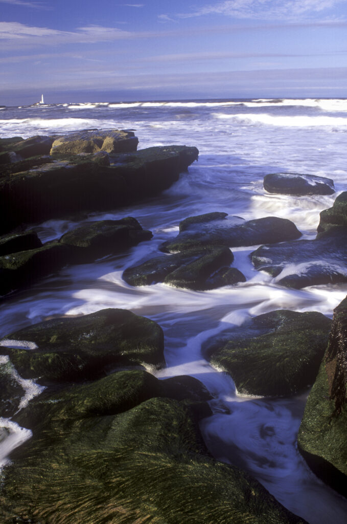 ENGLAND, Tyne & Wear, Whitley Bay.