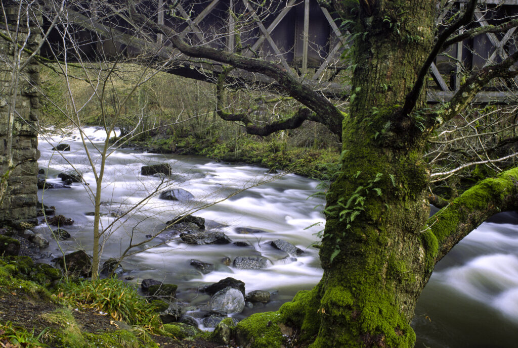 ENGLAND, Cumbria, Lake District National Park.