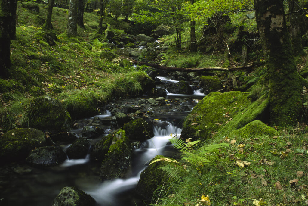 ENGLAND, Cumbria, Lake District National Park.