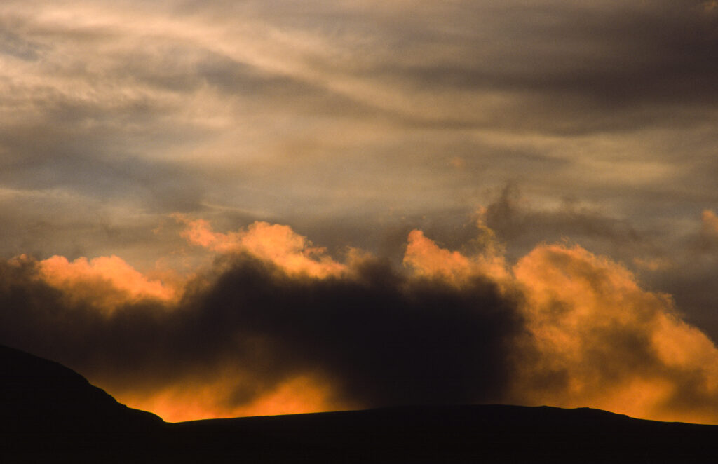 SCOTLAND, Dumfries & Galloway, Galloway Forest Park.