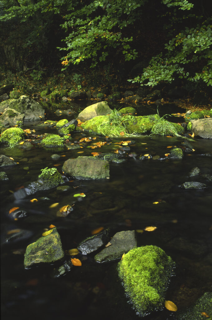 United Kingdom, England, Northumberland.