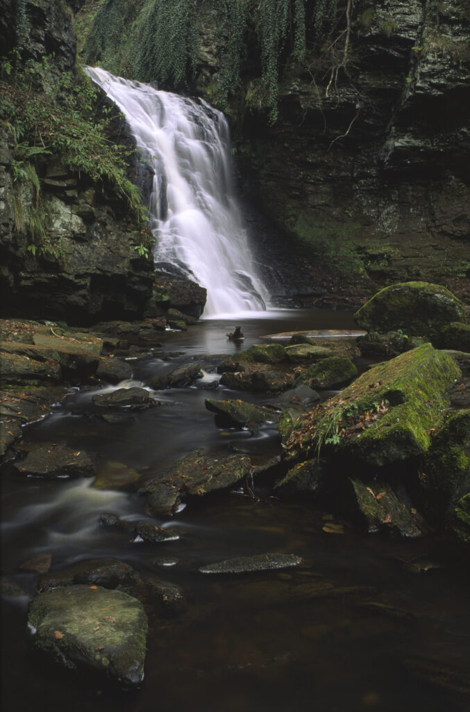 ENGLAND, Northumberland, Northumberland National Park.