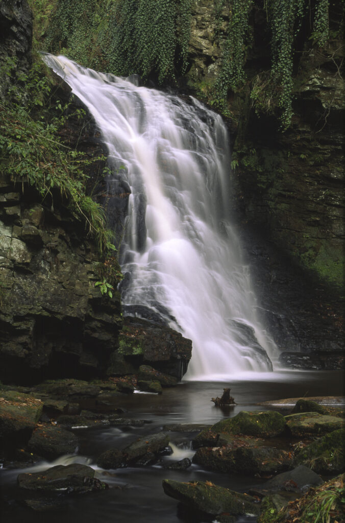 ENGLAND, Northumberland, Northumberland National Park.