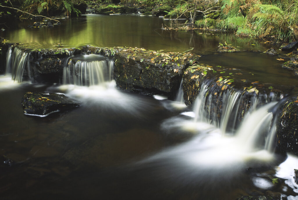 ENGLAND, Northumberland, Northumberland National Park.