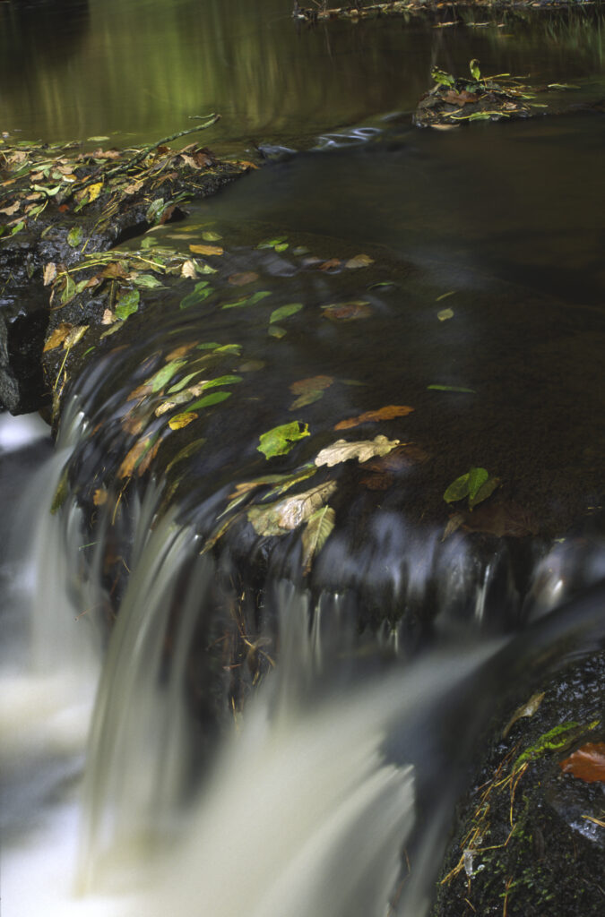 ENGLAND, Northumberland, Northumberland National Park.