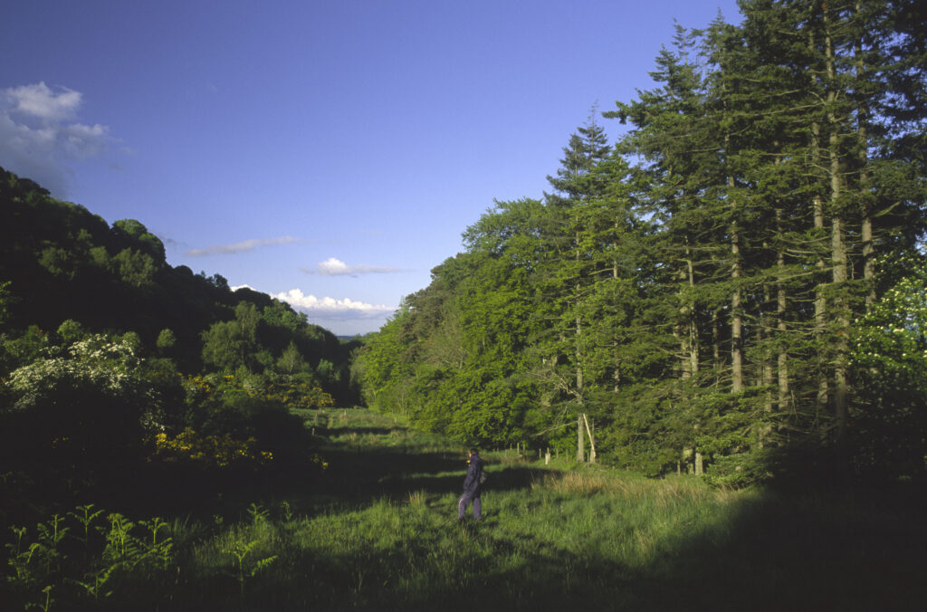SCOTLAND, Scottish Borders, Eildon Hills.