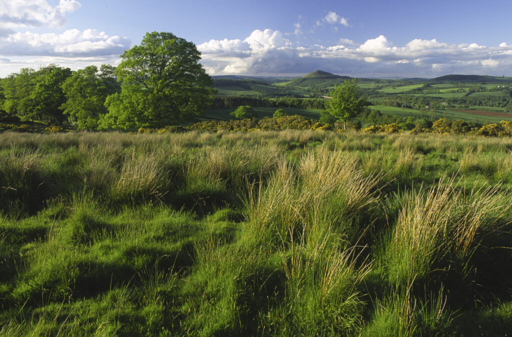 SCOTLAND, Scottish Borders, Eildon Hills.