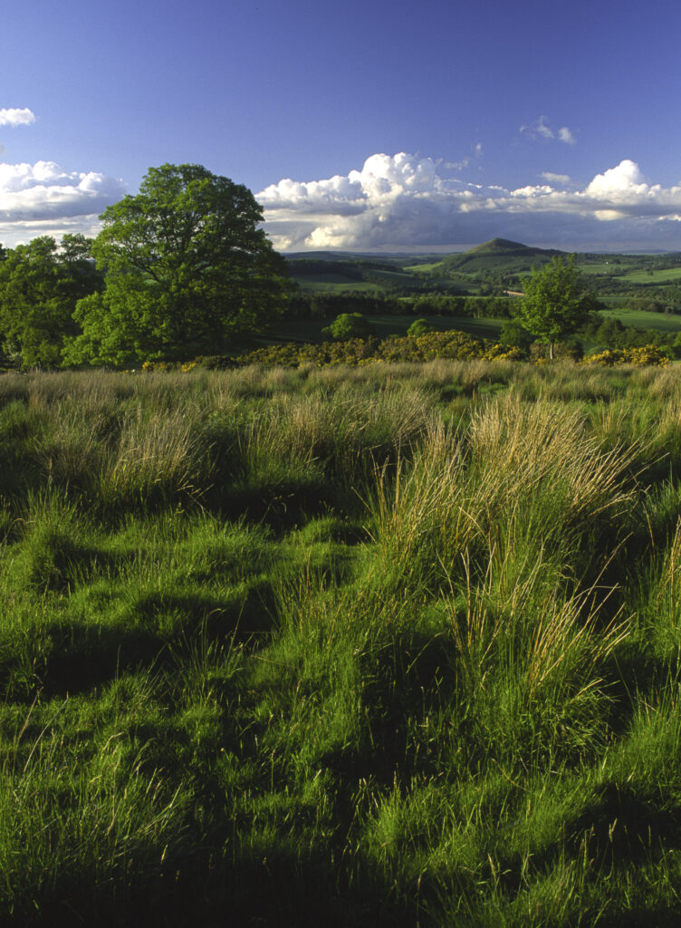SCOTLAND, Scottish Borders, Eildon Hills.