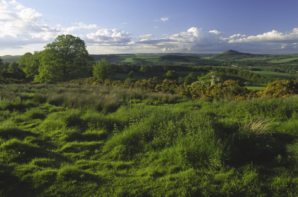 SCOTLAND, Scottish Borders, Eildon Hills.