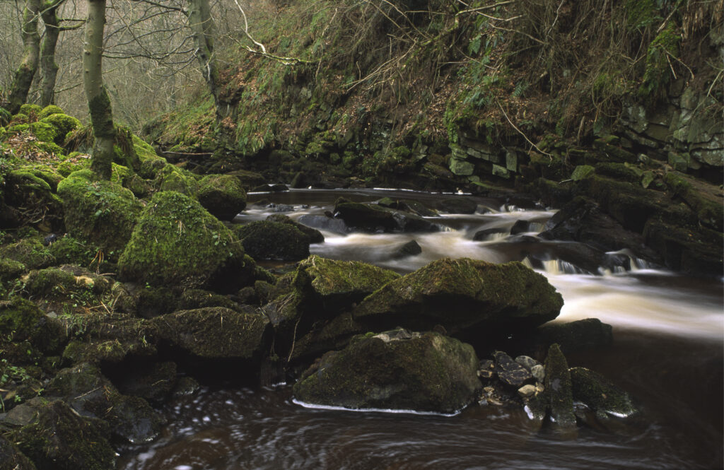 ENGLAND, Northumberland, Haltwhistle Burn & Gorge.