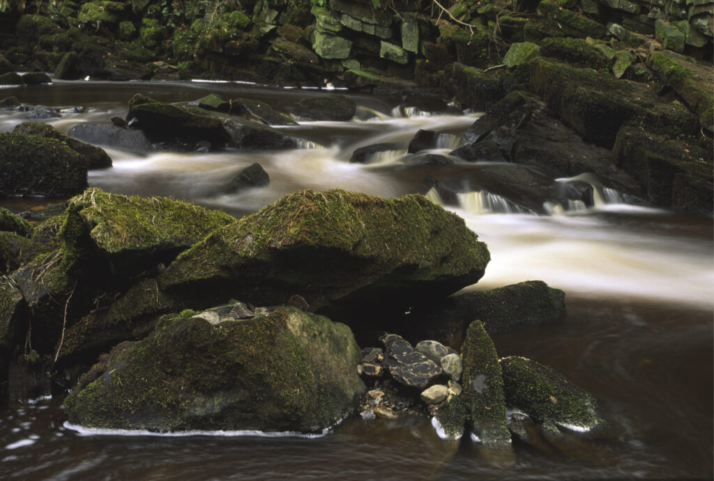 ENGLAND, Northumberland, Haltwhistle Burn & Gorge.