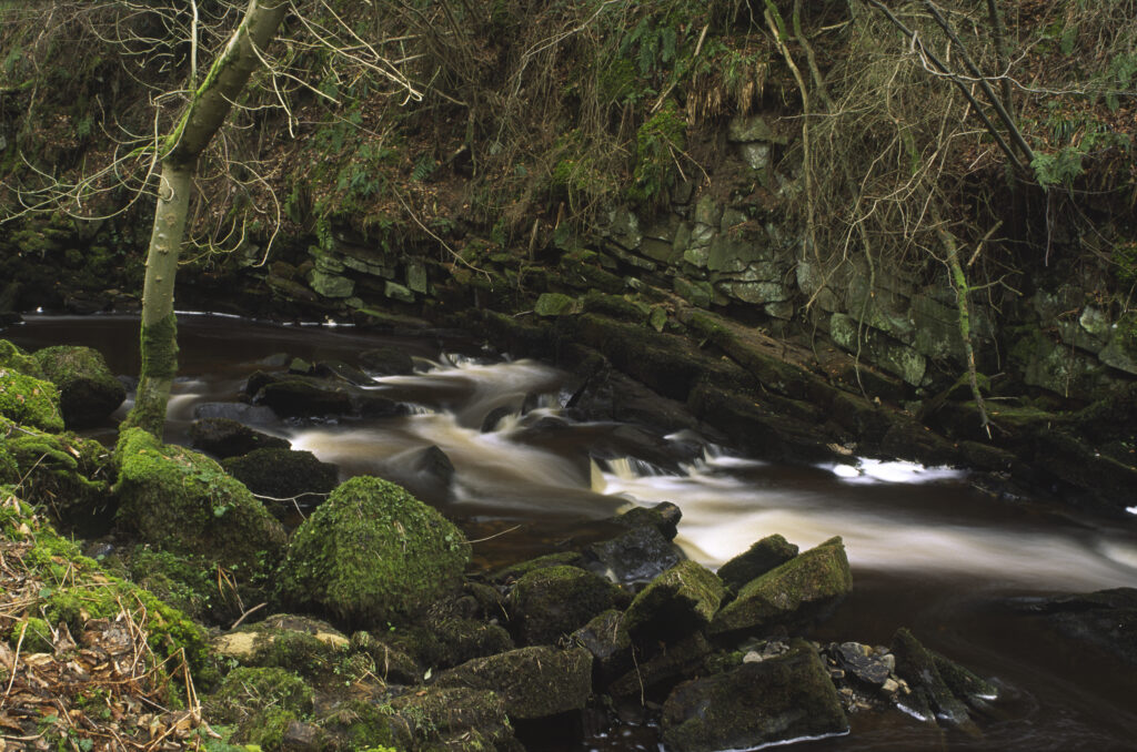 ENGLAND, Northumberland, Haltwhistle Burn & Gorge.