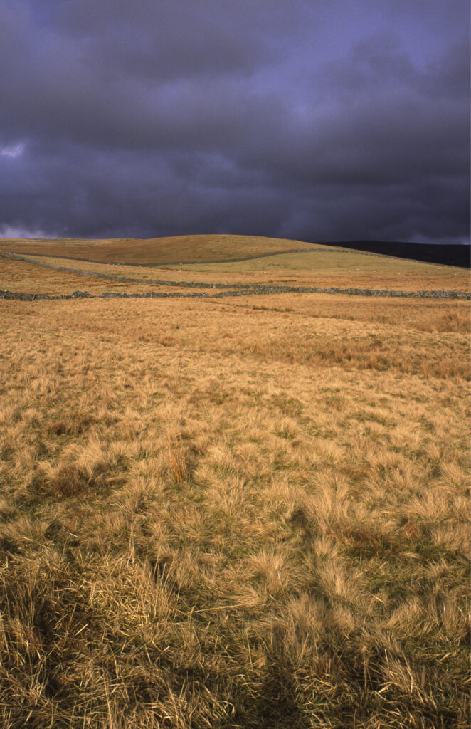 ENGLAND, Yorkshire, Yorkshire Dales National Park.