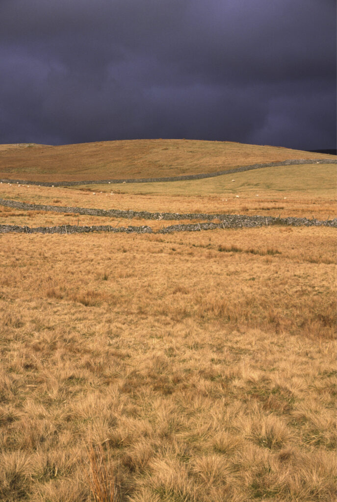 uk2801001
