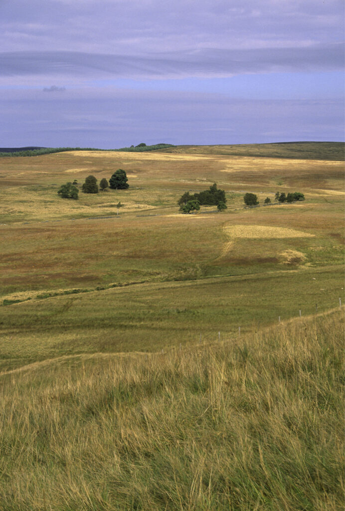 uk3001