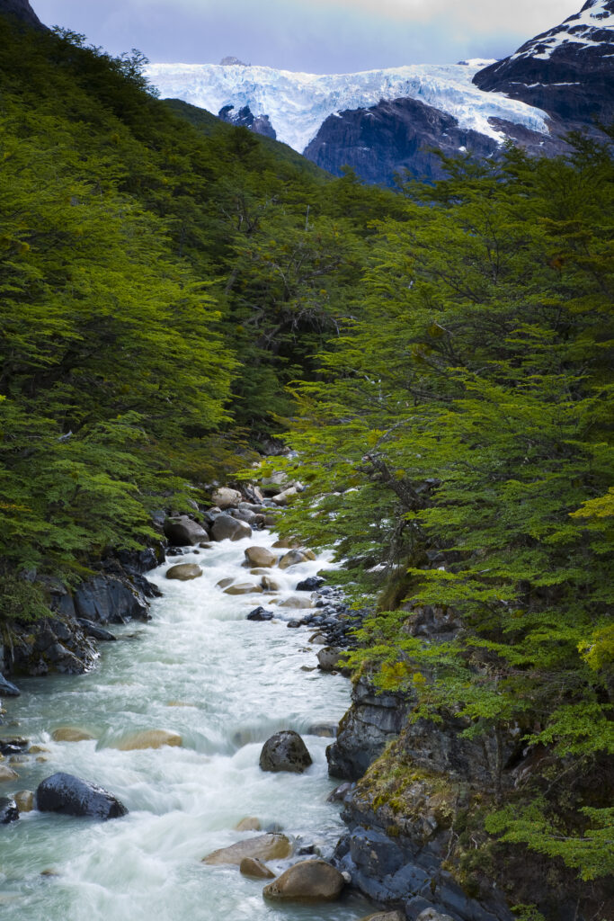 Chile, Southern Patagonia, Torres Del Paine National Park.